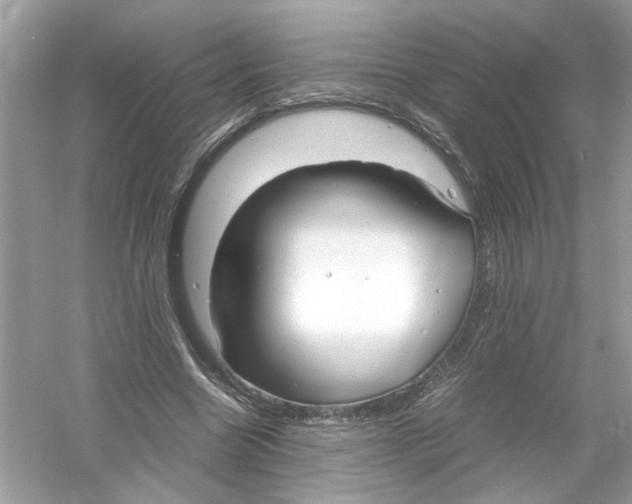 X0000053010538200508051203