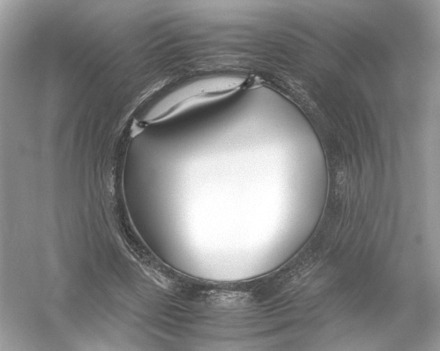 X0000053010539200508051203