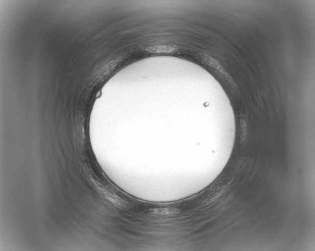 X0000053010541200508051203