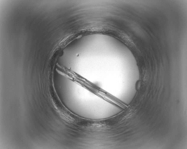 X0000053010542200508051203