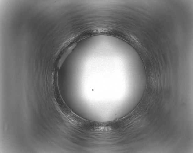 X0000053010543200508051203