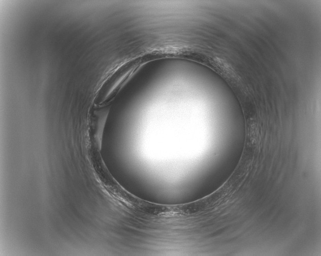 X0000053010544200508051203