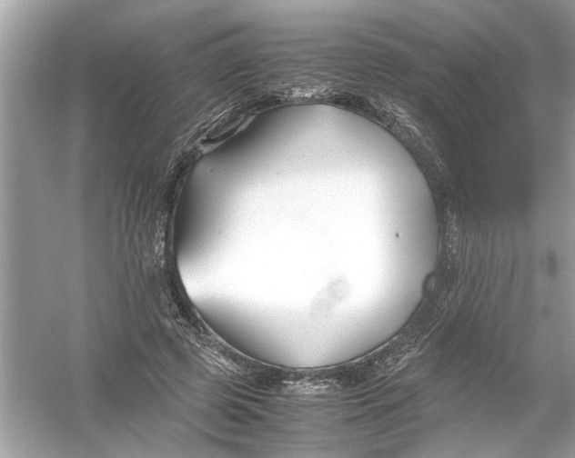 X0000053010545200508051203