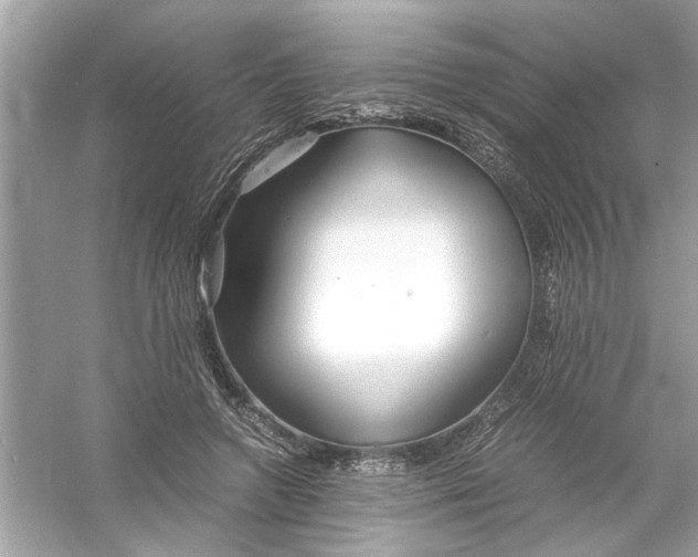 X0000053010546200508051203