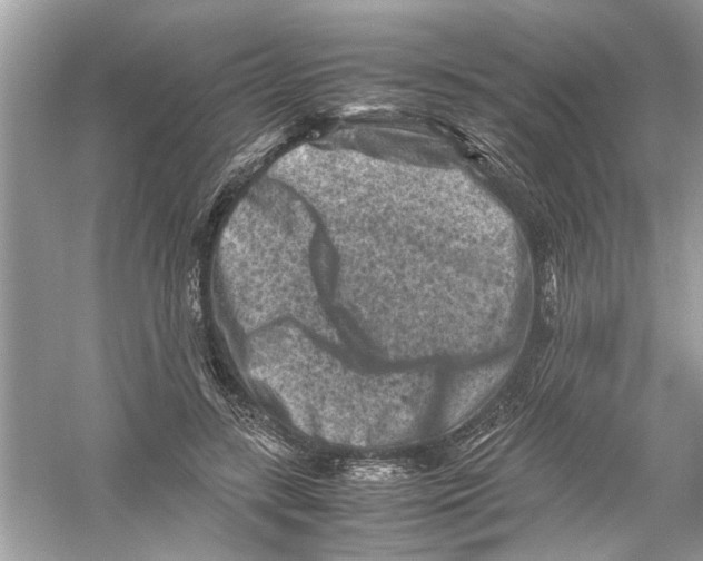 X0000053010547200508051203