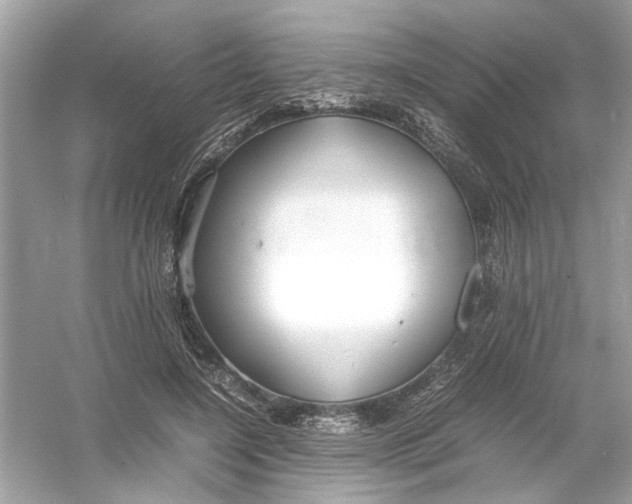 X0000053010548200508051203