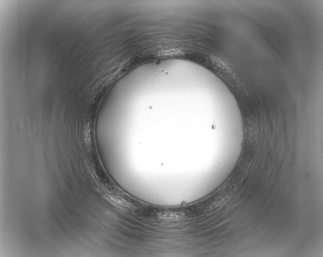 X0000053010549200508051203