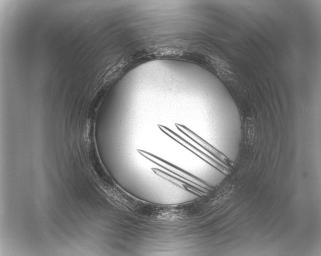 X0000053010550200508051203