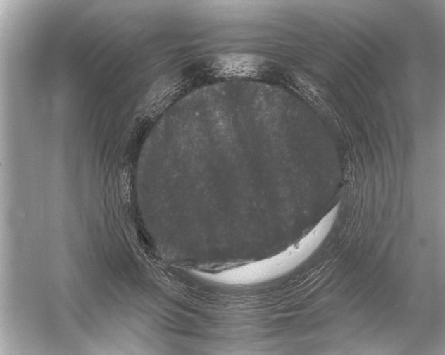 X0000053010551200508051203