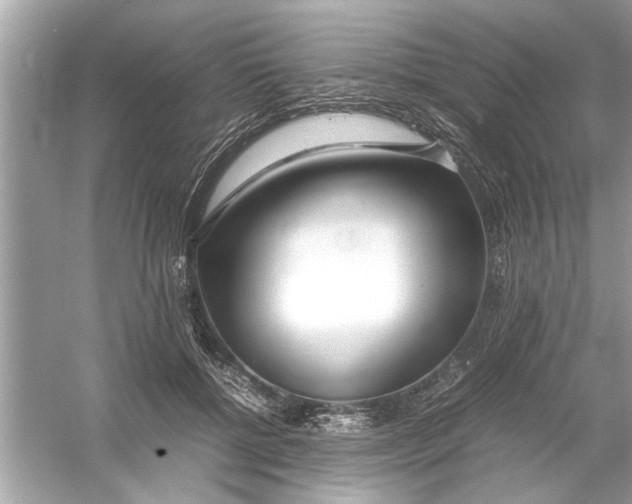 X0000053010552200508051203