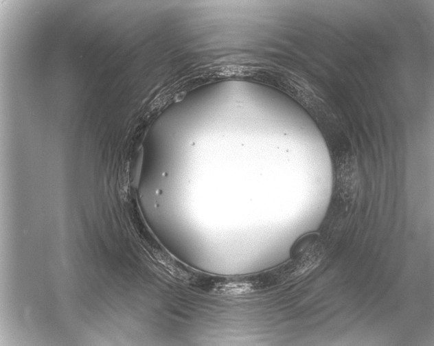 X0000053010554200508051203