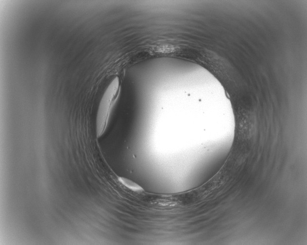 X0000053010555200508051203