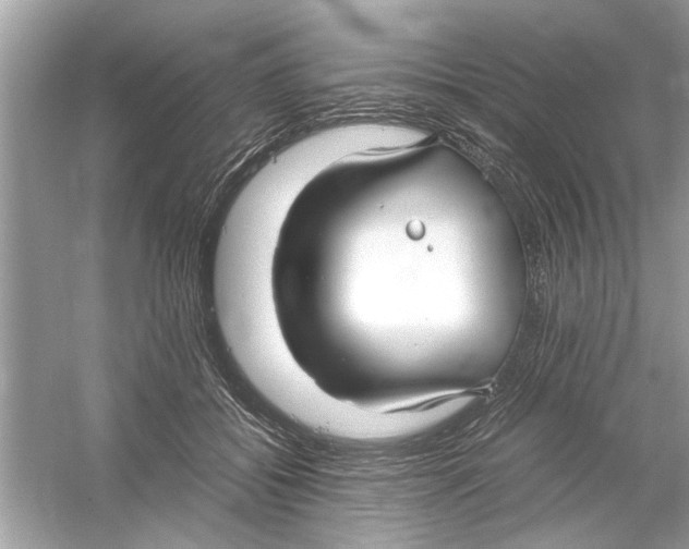 X0000053010556200508051203