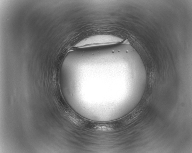 X0000053010557200508051203