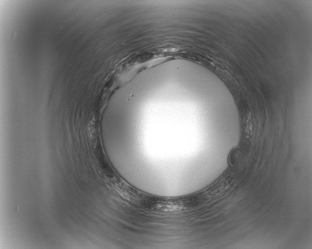 X0000053010559200508051203