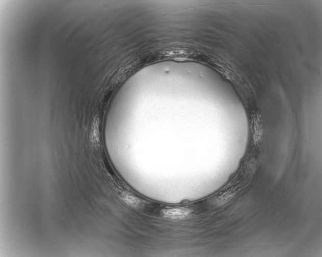 X0000053010561200508051203