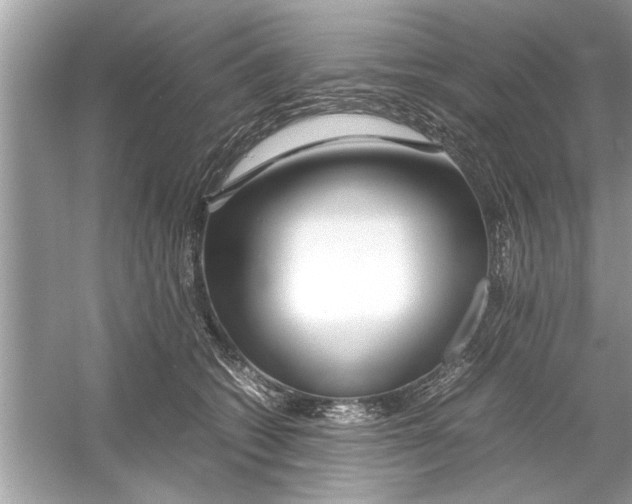 X0000053010562200508051203