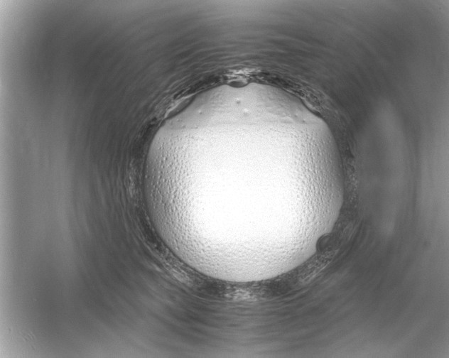 X0000053010565200508051203