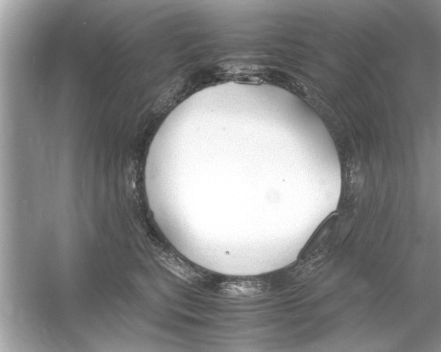 X0000053010567200508051203