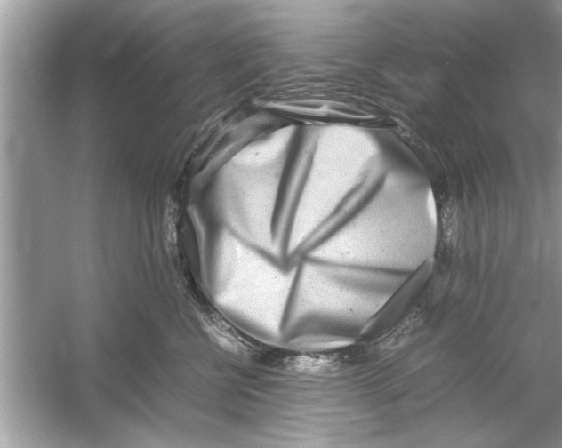 X0000053010570200508051203