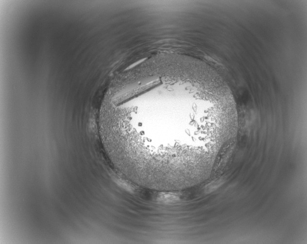 X0000053010573200508051203