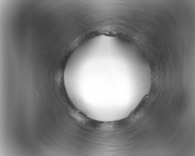 X0000053010574200508051203