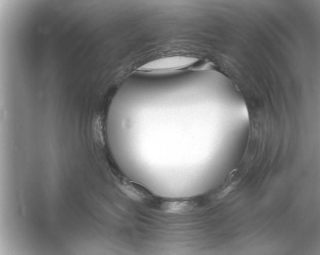 X0000053010575200508051203