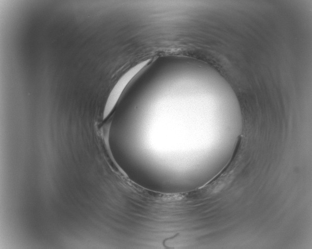 X0000053010576200508051203