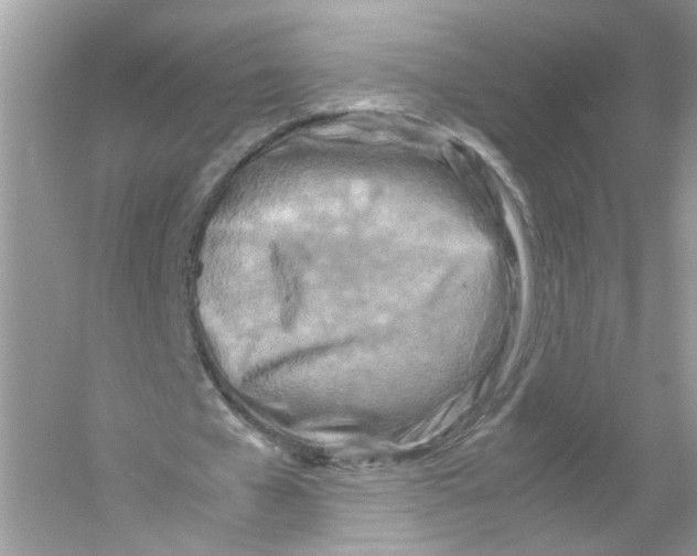 X0000053010577200508051203