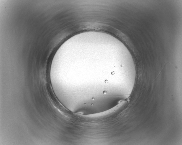 X0000053010578200508051203