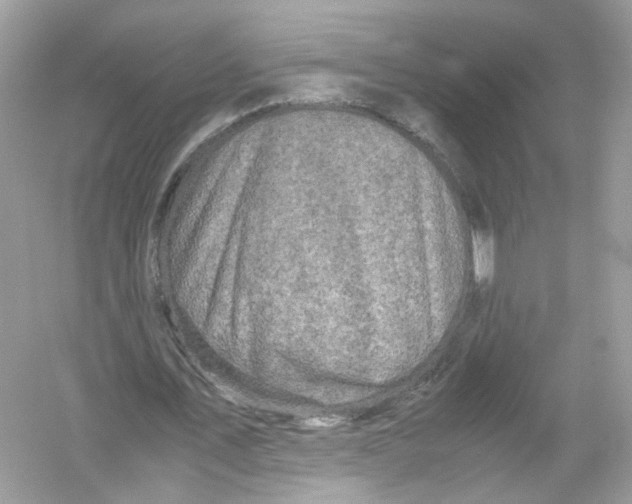 X0000053010579200508051203