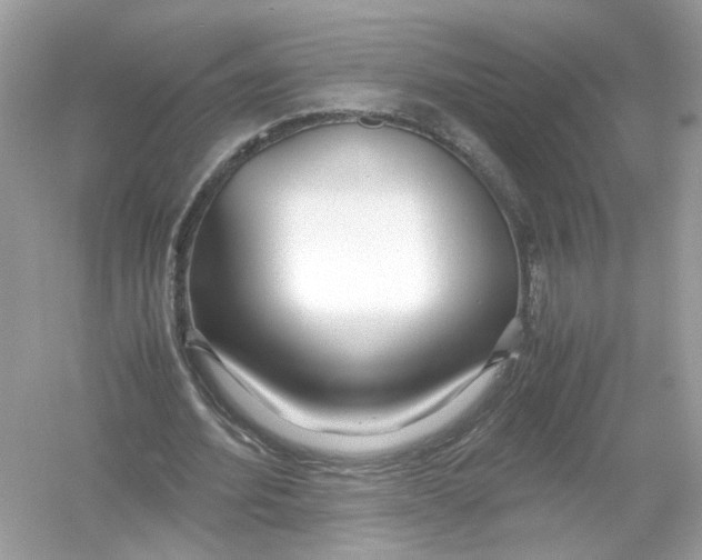 X0000053010580200508051203