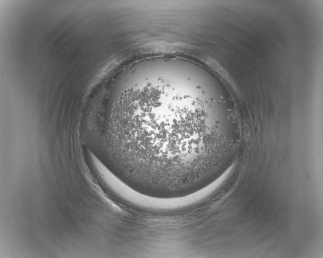 X0000053010581200508051203