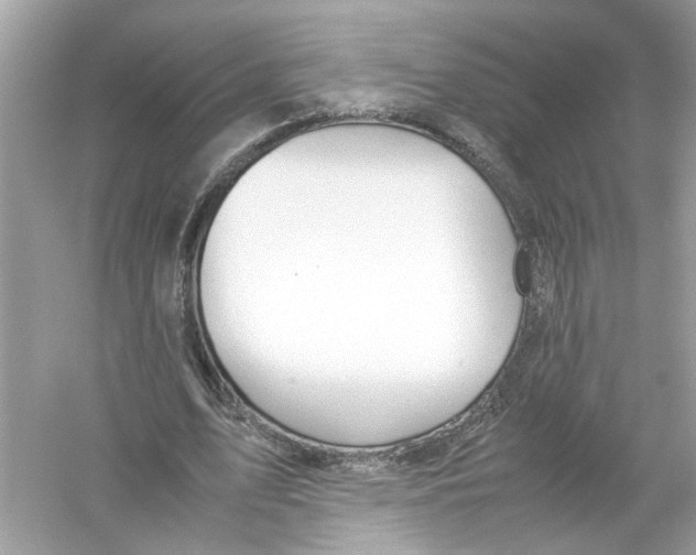 X0000053010583200508051202