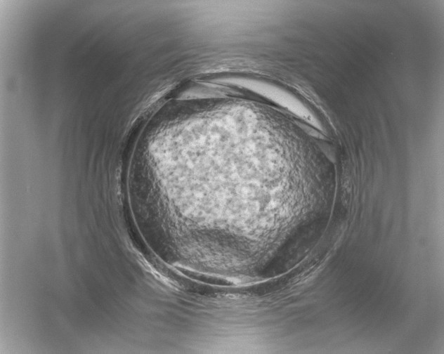 X0000053010585200508051202