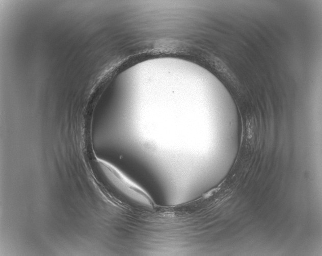 X0000053010588200508051202