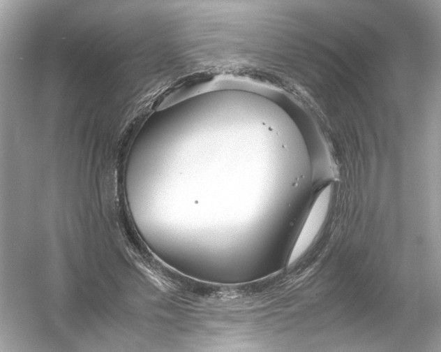 X0000053010589200508051202