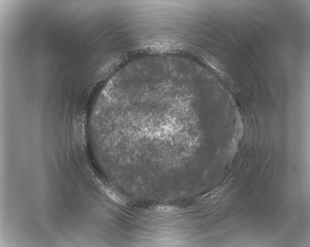 X0000053010590200508051202