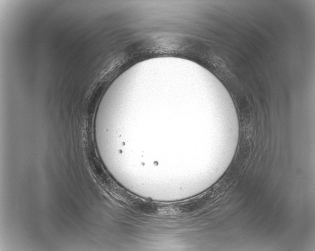 X0000053010591200508051202