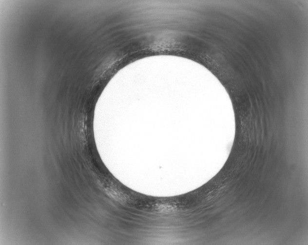 X0000053010592200508051202