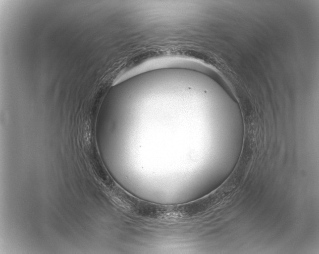 X0000053010593200508051202