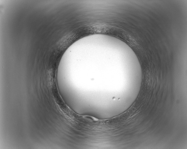 X0000053010594200508051202