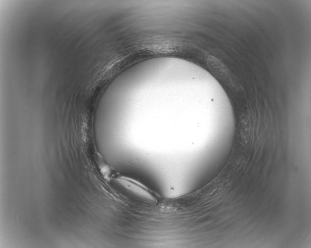 X0000053010596200508051202