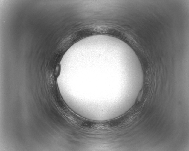 X0000053010597200508051202