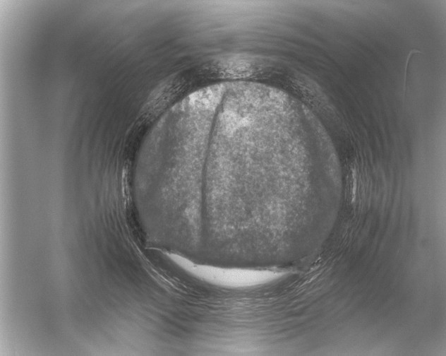 X0000053010598200508051202