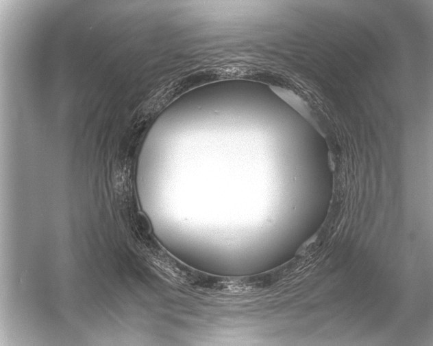 X0000053010601200508051202