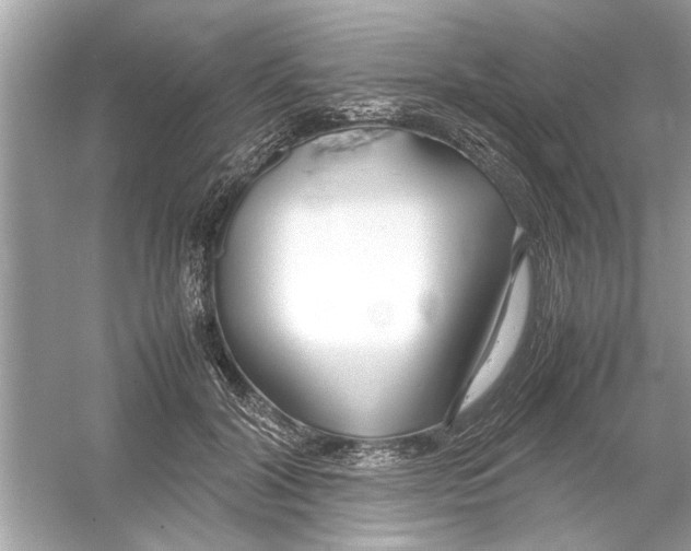 X0000053010604200508051202