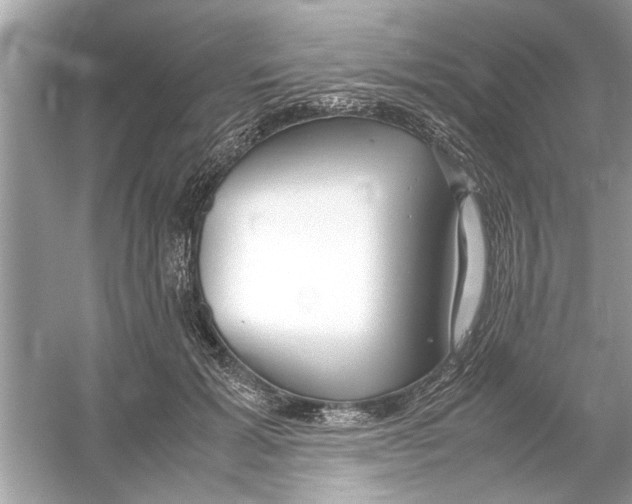 X0000053010605200508051202