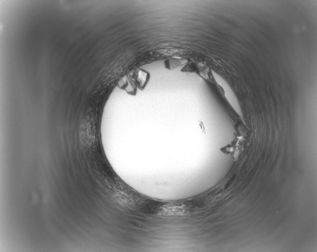 X0000053010606200508051202