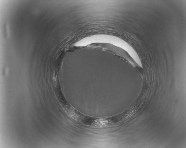 X0000053010607200508051202